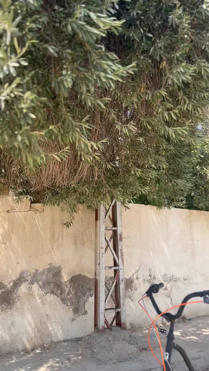 الـلهم صـلِ  عـلى محـمد وآل مـحمد 🧿✈️

بايسكل بطه ياباني موديل ٢٠١٩ 🚲🚴
من شركة جوي بلوك (Joy Blok)
حجم ٢٧
.بداله ٦ سرعات ⚡️
.ضوء حساس 💡
.قفل بايسكل 🔐 
بايسكل لونين:
اسود طافي⚫️-برتقالي🔶
بريك خلفي صفاره 
بريك امامي 
السعر💵💲: ١٤٥ ألف و بيه مجال شي بسيط 
بـيـع فـقـط
للاستفسار:
٠٧٧٣٣٤٨٧٥
العنوان: ديالى - بعقوبة - حي المعلمين


**إذا كنت صاحب هذا الإعلان وتريد حذفه لأي سبب، رجاءا أرسل رسالة إلى الدعم الفني**