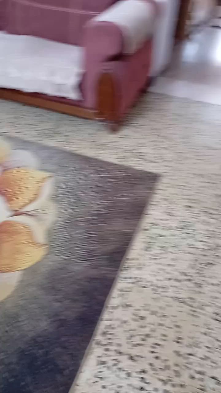 تخم تركي عشر مقاعد السعر ٤٠٠


**إذا كنت صاحب هذا الإعلان وتريد حذفه لأي سبب، رجاءا أرسل رسالة إلى الدعم الفني**