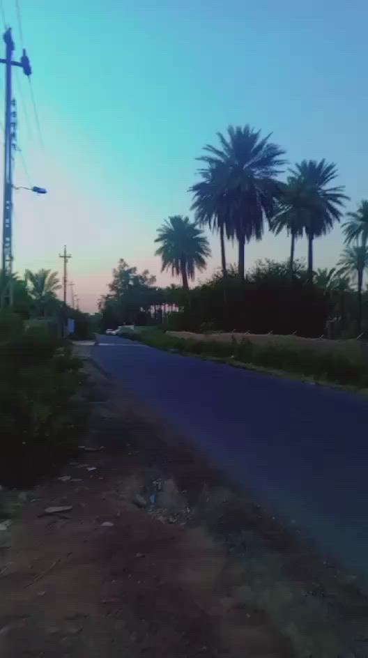 گاع 700متر واجهيه27 متر شط وشارك الگاع ملك صرف موقع الگاع بغداد الراشديه في منطقه كاظم العلي  صالحه للزراعه و البناء تبعد عن جزيره بغداد السياحيه 10 دقائق رقمي***********
