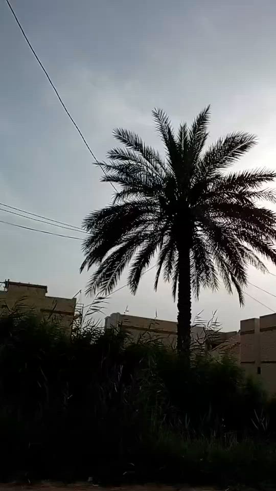 300 مكاننا كربلاء


**إذا كنت صاحب هذا الإعلان وتريد حذفه لأي سبب، رجاءا أرسل رسالة إلى الدعم الفني**