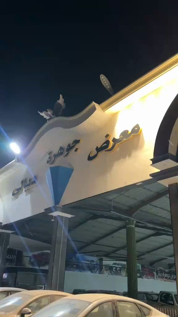 #معرض_كرم_ديالى 


**إذا كنت صاحب هذا الإعلان وتريد حذفه لأي سبب، رجاءا أرسل رسالة إلى الدعم الفني**