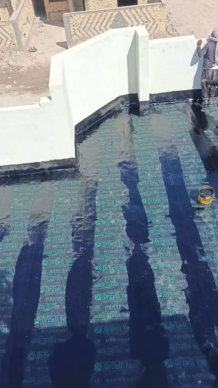***********
