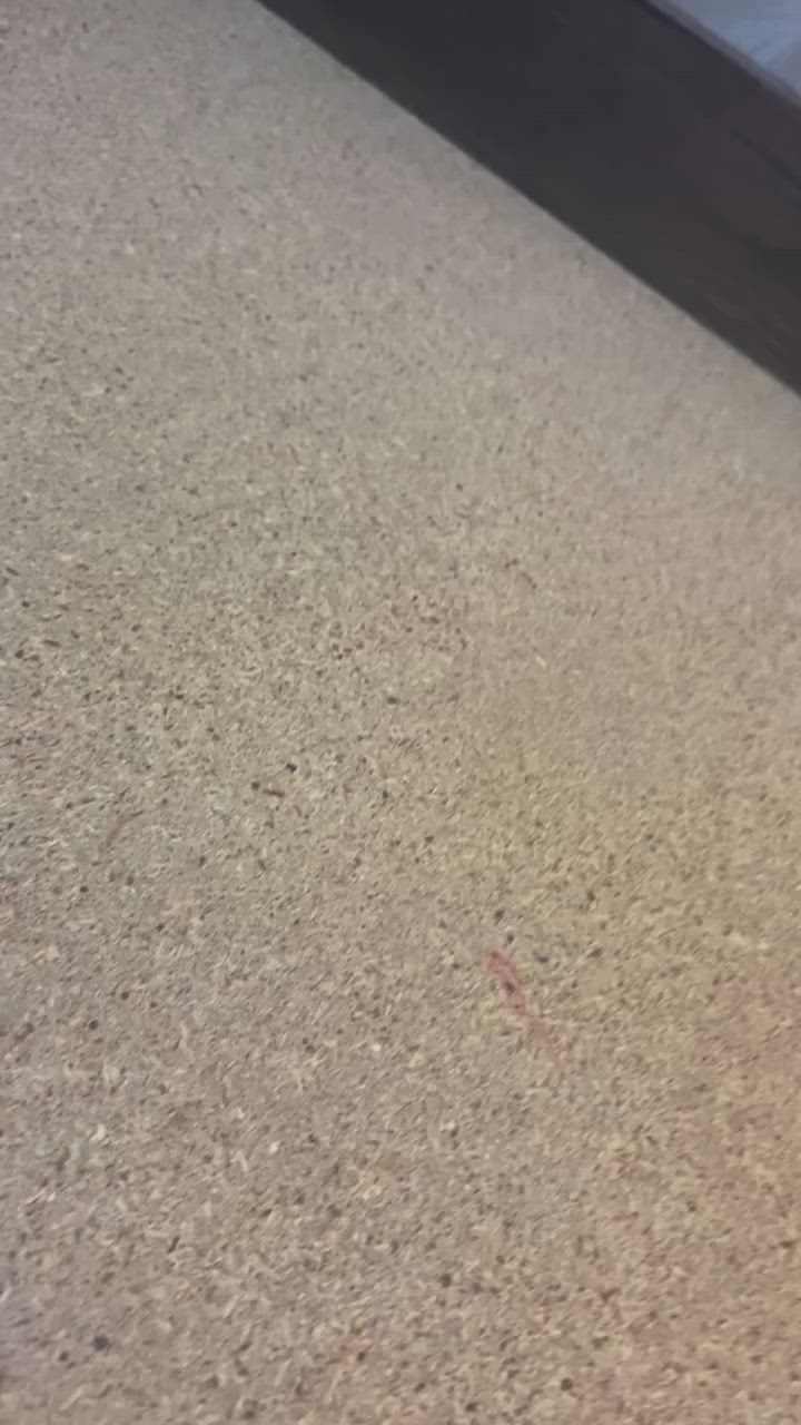 سلام عليكم سرير طابقين خشب زان يصير كل واحد وحد حاله ممتازه بسعر 150 مع كل سرير دوشك


**إذا كنت صاحب هذا الإعلان وتريد حذفه لأي سبب، رجاءا أرسل رسالة إلى الدعم الفني**