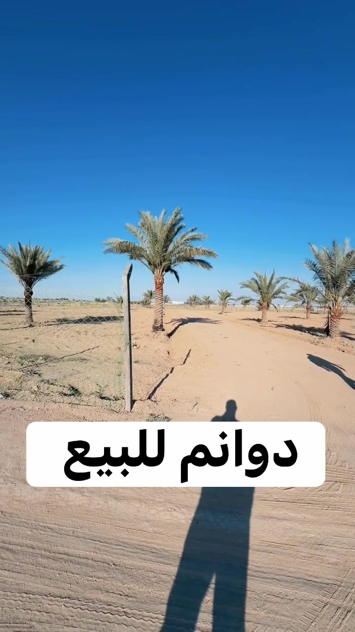 فرصة مميزة للبيع – 5 دونم في أبو غريب / السميلات 🌿

📍 الموقع: أبو غريب – السميلات، مربع الشاليهات والمزارع
📏 المساحة: 5 دونم
💰 السعر: ممتاز جداً وفرصة لا تعوض

✨ أرض بموقع مطلوب ومناسبة للاستثمار أو الاستخدام الشخصي، وتصلح لـ:
✅ مزرعة تجارية مربحة
✅ شالية ترفيهي للعائلة
✅ مشروع استثماري مستقبلي
✅ استراحة أو مزرعة خاصة

📌 مميزات الأرض:
✔️ موقع مميز ضمن منطقة الشاليهات والمزارع
✔️ مساحة مناسبة للتقسيم أو التطوير
✔️ بيئة هادئة ومناسبة للاستثمار الزراعي والترفيهي
✔️ فرصة ممتازة للباحثين عن الدوانم في أبو غريب

📞 للاستفسار والمعاينة يرجى التواصل على 

الخاص أو الاتصال مباشرة.

*********** علي شامل 
*********** مصطفى بادي 

#ابو_غريب #السميلات #دونم_للبيع #5_دونم #اراضي_زراعية #مزرعة_للبيع #شاليهات #مزارع #استثمار_عقاري #اراضي_للبيع #عقارات_بغداد #فرصة_استثمارية
