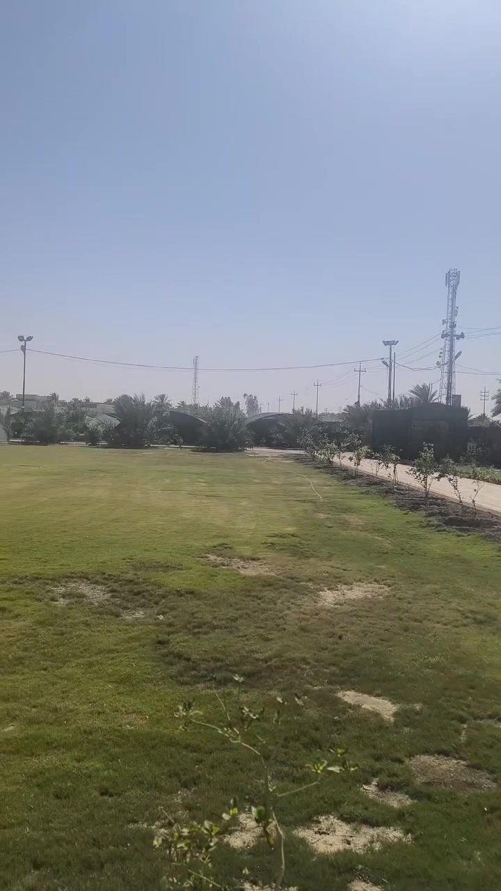 يُعد تجعد ثمار النخيل من المشكلات التي تؤثر بشكل مباشر في جودة المحصول وقيمته التسويقية، إذ يؤدي إلى انكماش الثمار وضعف امتلائها وانخفاض وزنها، مما ينعكس سلبًا على الانتاج 

للاستفسار والتواصل:
- قسم المبيعات النخيل : ***********
- قسم المبيعات النخيل : ***********
- قسم الاسمده والتوصيل: ***********

الموقع: محافظة بابل، مدينة الحلة، طريق منطقة عوفي.

#البشير_مشروع_وطن  
#شركة_البشير_العالمية
