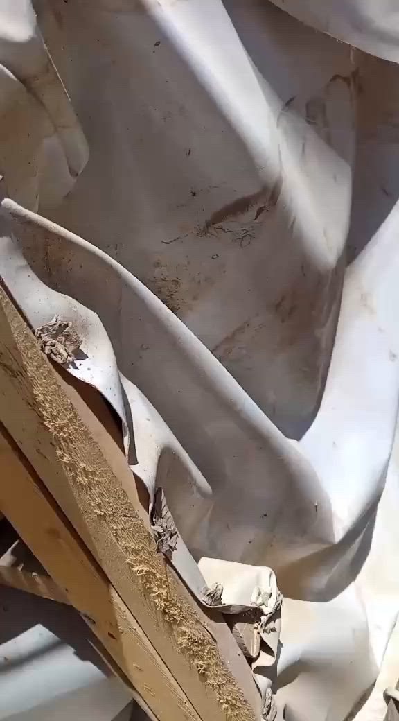 السلام عليكم غراض للبيع كلهن ب٢٥٠


**إذا كنت صاحب هذا الإعلان وتريد حذفه لأي سبب، رجاءا أرسل رسالة إلى الدعم الفني**