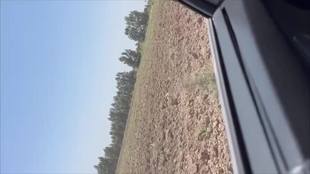 يا الله للبيع مزرعه 10دونم لوجه 100 طابو صرف العنوان بغداد اليوسفية منطقة الرضوانيه شارع رابع للاستفسار اكثر مراجعة مكتب الرضوانيه والتصال ع ***********
