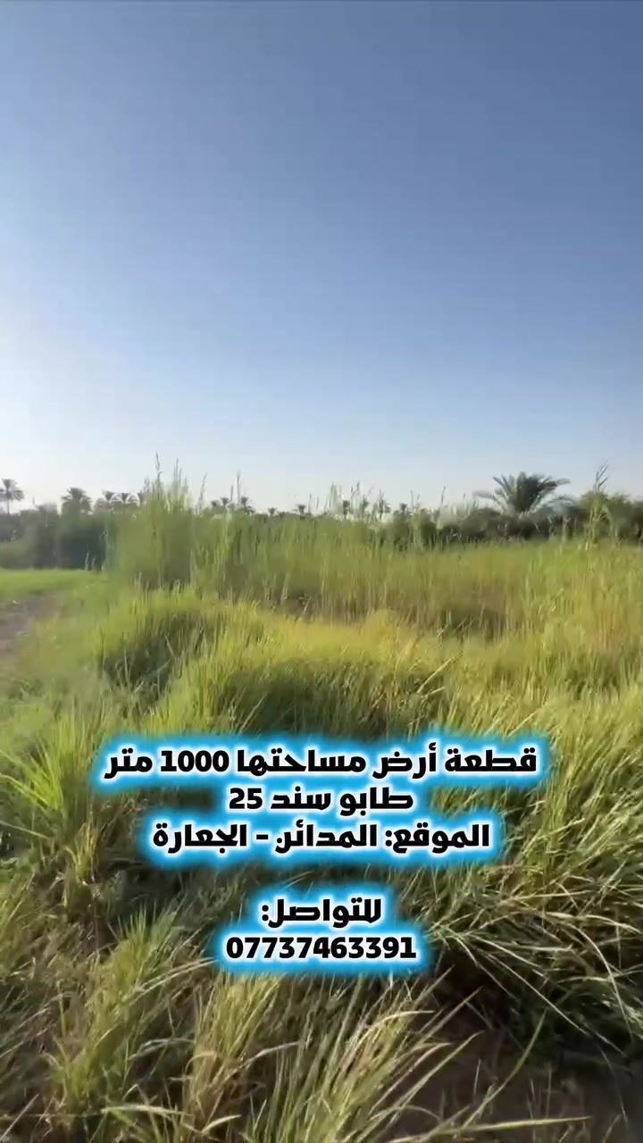 قطعة أرض مساحتها 1000 متر مربع
طابو زراعي سند 25
الموقع: المدائن - الجعارة

للتواصل:
***********
