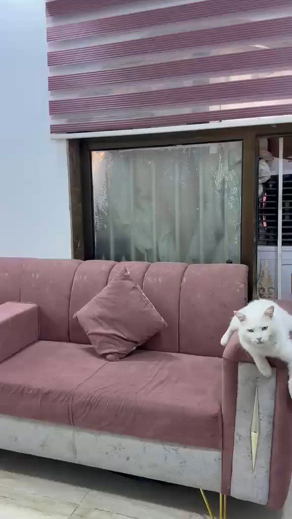 للبسع اغراض صالون كامله مكان نجف


**إذا كنت صاحب هذا الإعلان وتريد حذفه لأي سبب، رجاءا أرسل رسالة إلى الدعم الفني**