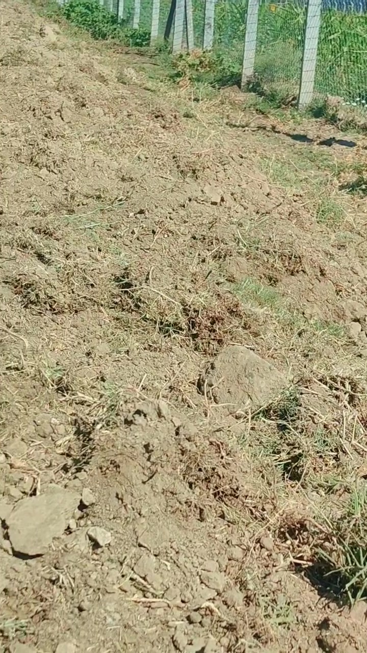 اليوم عروضنه كامل مواصفات تتوفر الدينا  طابو25
القطعه مساحته 3دونم  مسيجه بل كامل يوجد بداخل القطعه بستان يتوفر ماء وكهرباء العنوان ابو غريب 10مناصير ***********
