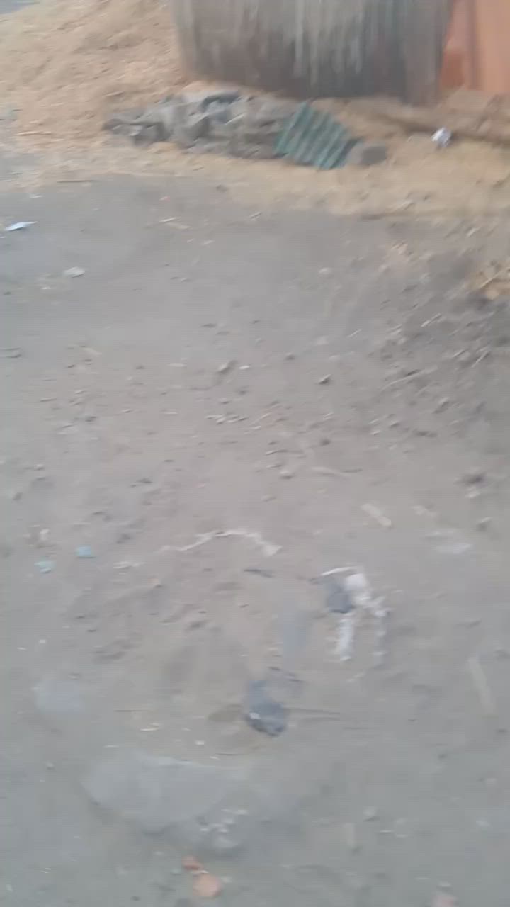 اللبيع 
01096145068


**إذا كنت صاحب هذا الإعلان وتريد حذفه لأي سبب، رجاءا أرسل رسالة إلى الدعم الفني**