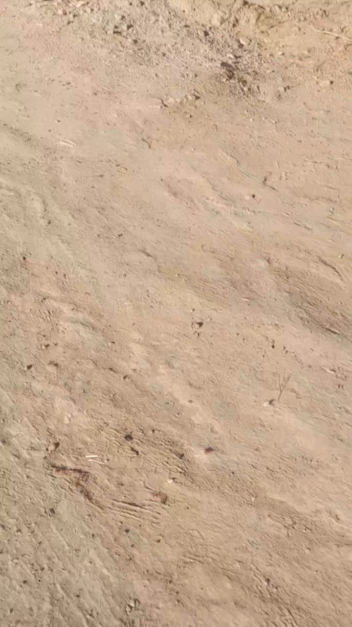 الاستفسار مراسلة الصفحة او الاتصال ع هاتف ***********

ملاحضه يرهم مراوس بيت
