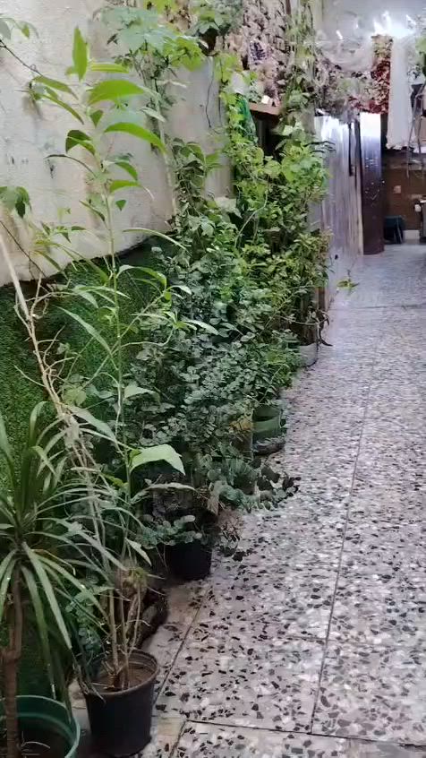 نصف قطعه خلفيه للبيع في قطاع ٣٩ الجوادر
قريب على الشارع للاستفسار (***********
