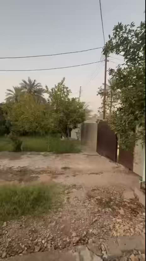 للبيع مجمع سكني مميز يتكون من ثلاثة بيوت مستقلة ضمن موقع هادئ ومناسب للسكن العائلي.
🏡 البيت الأول:

- طابقان.
- 4 غرف نوم.
- استقبال.
- صالة.
- مطبخ.
- حديقة أمامية وحديقة خلفية.
- تحتوي الحدائق على أشجار الحمضيات والنخيل والتين.

🏡 البيت الثاني:

- طابق واحد.
- غرفتان.
- استقبال.
- صالة.
- مجموعة صحيات.
- مطبخ حار ومطبخ بارد.
- حديقة أمامية وحديقة جانبية.
- تحتوي على أشجار التين والحمضيات والنخيل.

🏡 البيت الثالث:

- طابق واحد.
- غرفتان.
- استقبال.
- صالة.
- مجموعة صحيات.
- مطبخ حار ومطبخ بارد.
- حديقة أمامية وحديقة جانبية.
- تحتوي على أشجار التين والحمضيات والنخيل.

العقار مناسب للسكن العائلي أو للاستثمار، ويتميز بمساحات خضراء وأشجار مثمرة توفر أجواء مريحة وجميلة.

للاستفسار والمعاينة يرجى التواصل على الرقم: (***********). (***********)
(***********).
