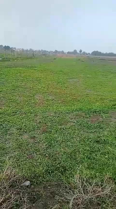 دونم وربع منطقه سبع البور مصالحه وطجاج طابو زراعي سند ٢٥ملك صرف
تحويل ثاني يوم بسم مشتري 
سعر ٧٨

***********
