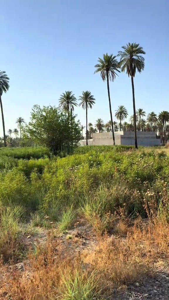 السلام عليكم👋للبيع قطعة أرض المساحة(2500m/دونم)ملك صرف تحويل مباشر بأسم المشتري ليس إقرار محكمة في دائرة التسجيل العقاري على طابو الأعظمية واجهية الدونم(50m)والنزال(50m)مطل على شارع عرض الشارع هو(14m)يبعد عن شارع السدة الرئيسي هو شارع شاطيء الفحامة فقط(200m)موقع العقار في بغداد(الفحامة/قرب جزيرة بغداد السياحية)تبعد عن جزيرة بغداد السياحية فقط(1كيلوا ونصف)للأستفسار *********** #viralvideo #جزيرة_بغداد_السياحية #tiktok #fyp #foryoupage 
