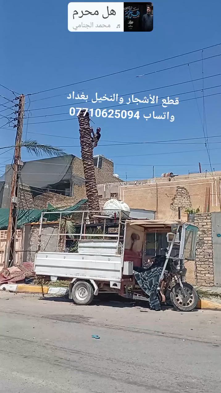 قطع النخيل بغداد كرخ ورصافه واتساب ***********
