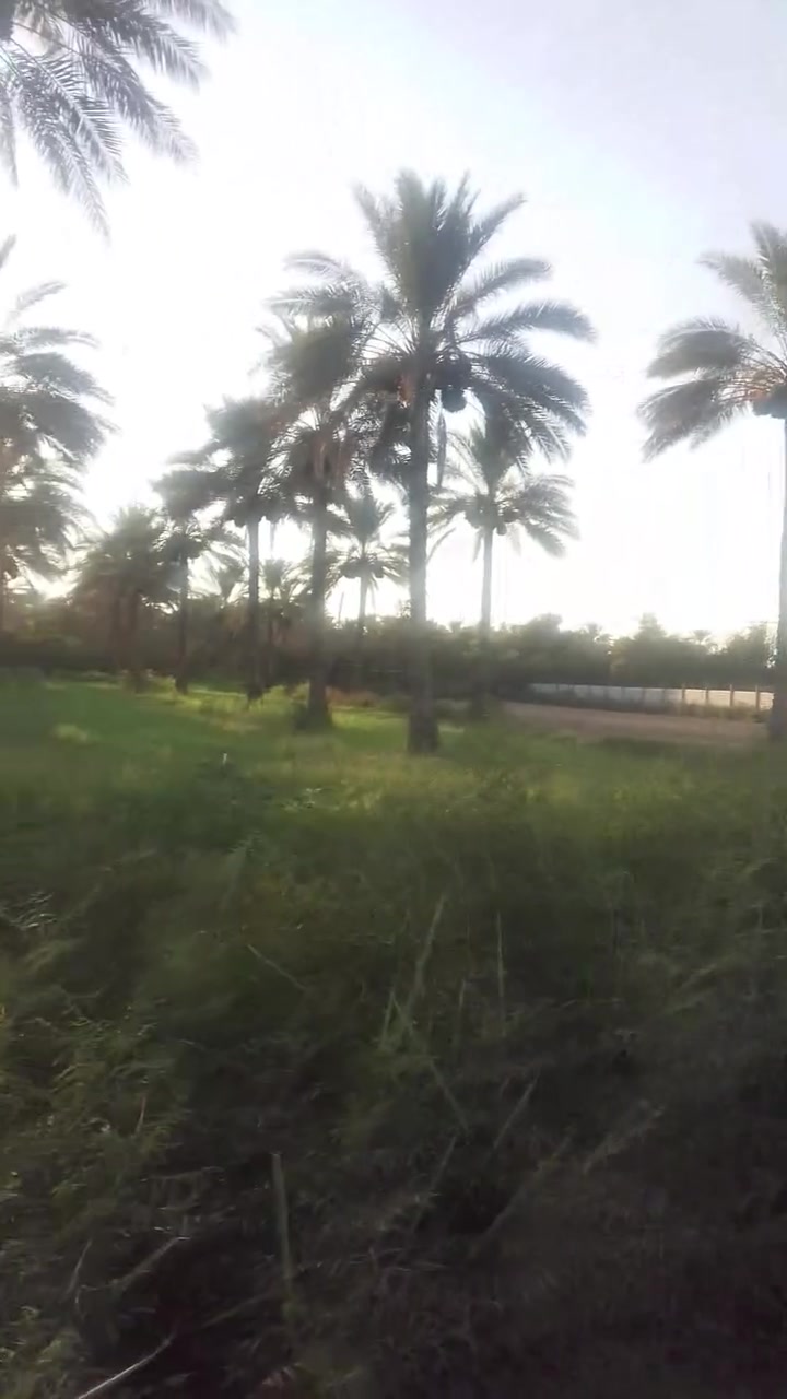 خوان دونم ونص للبيع في منطقة الرشدية سند 25 كافه بكل خدمات ماي سحب واجهه 25 نزال 100 
الاتصال على الرقم ***********
