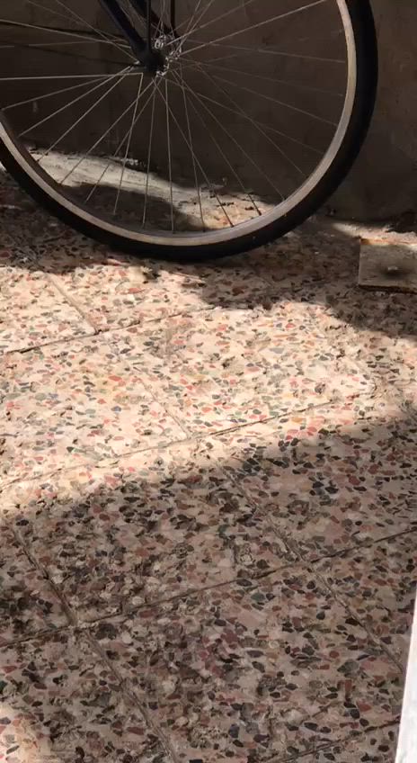سلام عليكم للبيع ما يحتاج حجي هوع يسولف بحده بر 140  بران؟

مكان : العماره المجر الكبير (منطقة السعيده)
رقم/وتساب 
***********
