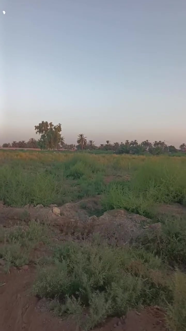 اخذه وبلعافيه ملك صرف ***********
***********

