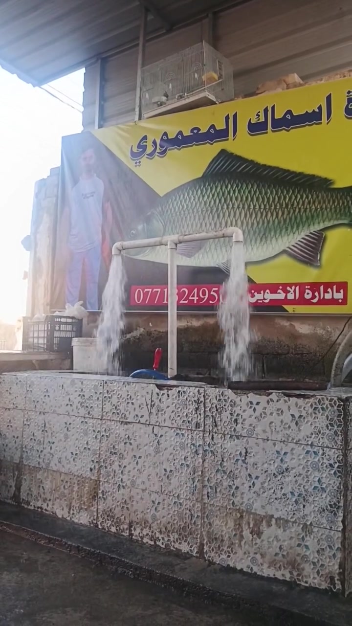 يا الله 

عمي السماجه الحد يظوج بيش مابيع 
محد اله دخل بيه. خلي العالم تاكل 

سمج اسود مال قفص اذا مو عدل لا تاخذ
اذا مو تشوفه بعينك عدله لا تاخذ 

سعر كيلو المسكوف وكامل.  ب٥
اذا تجون المحل مو نفس المنشور 
نزلو عليه منشور 
اخوان كيلو السمج ب٥ 
مكاني سكندريه شارع الحسينيه 
يم اسماك ومسكوف المعموري 
رقم الحجز ***********
السماجه أهل السمج الجايف
الحد يكلي اليش تكسر بل سوك
