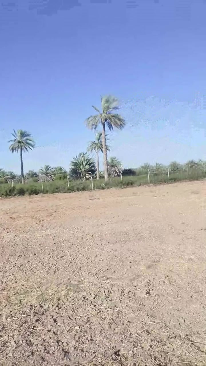 سلام عليكم اخوان دونم للبيع في منطقت الراشدية كامل ماء كهرباء وجهيه ثنين وستين ونزال ثنين وربعين عروض شارع 10متار تبعد عن سده خمسيت مترا ستفسار على رقم ***********
