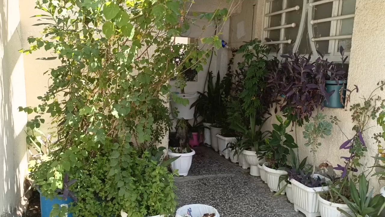 منزل للبيع الموقع العبيدي الكفائات منطقة شمر شارع العوادل
مساحه 200متر طابقين واجهة المنزل عشر أمتار 
يحتوي على
4غرف نوم
صالة الارضيه 7في 6
غرفة ضيوف 7ف5
صاله في طابق العلوي 
منزل جديد تم بنائه 2018
جديد 
.
السعر عند الاتصال 
رقم صاحب المنزل 
***********
