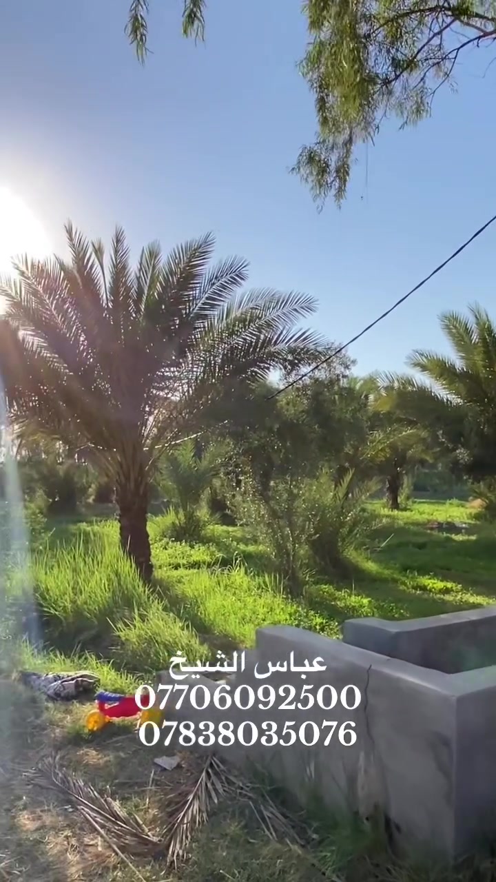 -10 دونم طابو 25 ع طابو ابو غريب
-السعر الكلي 850 مليون قابل للتفاوض
-تنباع بالكامل او 5 دونم
-الموقع البصام ريف الشعله
-جنس الارض مفوضه بالطابو
-التفاصيل بالفيديو 
للاستفسار اكثر مراسلة الصفحة او الاتصال ع الارقام التالية
***********
***********
