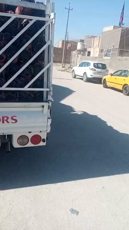للحجز والاستفسار
*********** ابو هاجر
