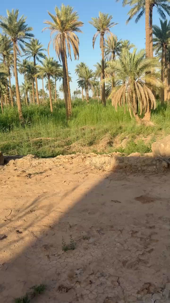 السلام عليكم 300 متر للبيع مقابيل محكمه الخيرات سعر الميه 12 وبيه مجال سند 25 زراعي مداور نفس الوقت للاستفسار ***********
