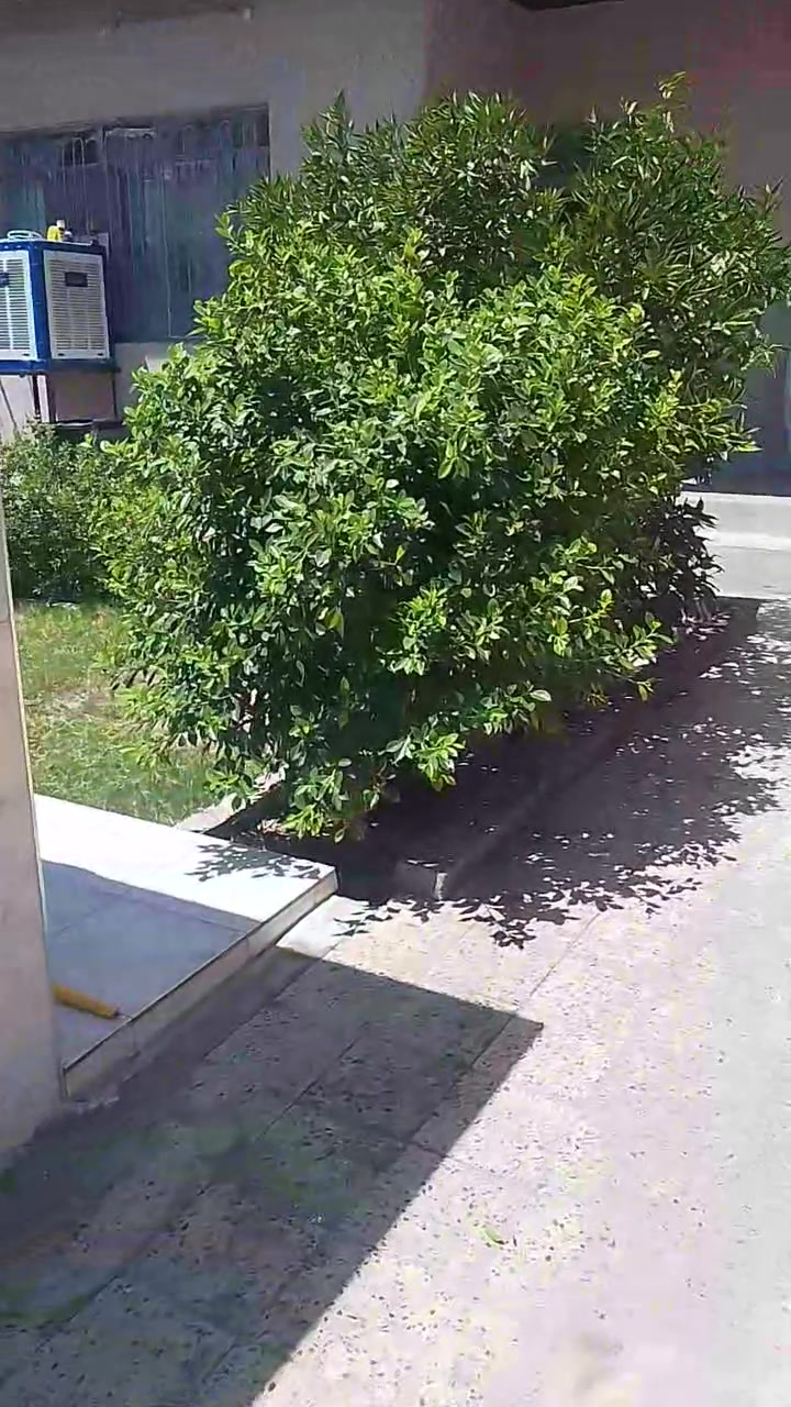 بيت للبيع الواجهة ١٠عمق ٢٥ مساحة البيت ٢٥٠متر 
طابق ونص أربع غرف 
مجاري جديدة الترميم 
مشتملات جديدة الترميم 
حي نابلس قرب مدرسة الكوثر 
للتواصل الاتصال أو مراسلة الصفحة 
 ***********
***********
