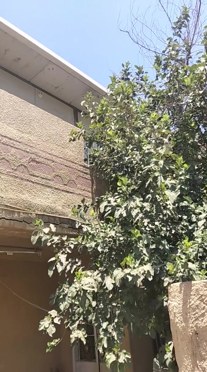 سندويش كامل للبيع مستخدم سنه مكاني بغداد الغزالية
***********
