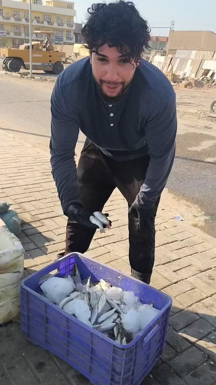 توفرت انواع الاسماك الصيد(ابو زريده +حمري +كطان +شانك خشن +سمتي صيد ) يوم  الخميس 2026/6/11
سمك عدل ب4ونص 
سمتي صيد شط 
احمري خشن ب5
ابو زريده خشن
ابو زريده ناعم وسط3ب10
شانك خشن 3ب10
انسب الاسعار وعلي الله شاهد كله صيد حر كدام عينك هيل ومي ورد يابةة 
خدمه توصيل وتنظيف وات ساب (***********)
العنوان الديوانيه فلكه الجامعه مو اول بسطيه ثانيه بسطيه جوه قطعه اعلن هنا جبيره اسمي حسن
