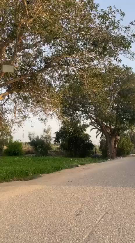 مكلف بالنشر دونم اللبيع 
الرقم : ***********  التواصل على هاذ الرقم او واتساب المعلومات الاكثر
