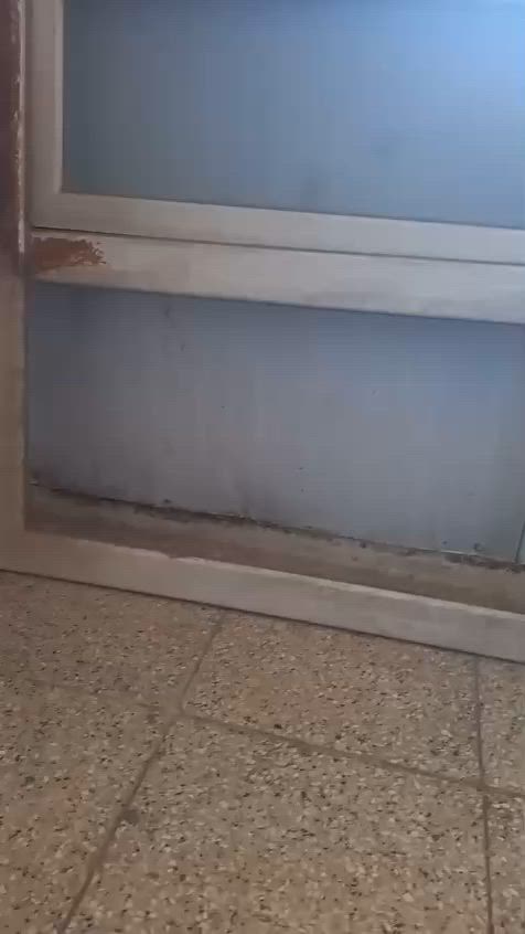 شباك للبيع كامل المنيوم


**إذا كنت صاحب هذا الإعلان وتريد حذفه لأي سبب، رجاءا أرسل رسالة إلى الدعم الفني**