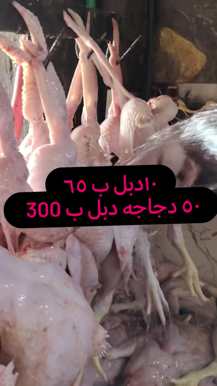 علوه دجاج علاء 
سعر كيلو 2900
50دجاجة دبل ب 300
​🐔 طازج يوم بيوم.. وبأنسب الأسعار! 🐔
​عندك عزيمة؟ تدور على جودة ونظافة تبيض الوجه؟
علوة دجاج علاء توفر لك أجود أنواع الدجاج الطازج يومياً، وبأسعار تنافسية ما تلقاها بغير مكان! 😉✨
​نظافة تامة: غسيل وتجهيز على أعلى مستوى.
​طازج 100%: ذبح جديد يومياً.
​تجهيز كافة المناسبات: نوفر طلبيات الجملة والمفرد للمطاعم والعوائل.
​📍 موقعنا: [بغداد #اليوسفية #ناحية#الرشيد شارع العام مقابل محطه ناحيه الرشيد ]
📞 للحجز والاستفسار *********** *********** 
​علوة دجاج علاء.. طعم النظافة والجودة الحقيقية! 💛
​#علوة_دجاج_علاء #دجاج_طازج #جملة_ومفرد #جودة_ونظافة #أسعار_مناسبة
