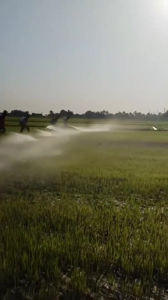 🌾 إعلان خدمة رش المبيدات الزراعية 🌾
يعلن كادر رش المبيدات الزراعية  لتقديم خدمات رش المحاصيل والبساتين بأحدث أجهزة الرش وبإشراف كادر يمتلك الخبرة والكفاءة.

✅ رش جميع أنواع المحاصيل الزراعية. ✅ دقة في العمل وتغطية كاملة للمزروعات. ✅ سرعة في الإنجاز والالتزام بالمواعيد. ✅ أسعار مناسبة وخدمة متميزة.

ثقتكم هي سر نجاحنا، وهدفنا الحفاظ على محصولكم وتحقيق أفضل إنتاج.

📞 للحجز الاستفسار *********** /‭***********‬

🌱 كادر رش المبيدات الزراعية  خبرة، أمانة، وجودة في العمل.
