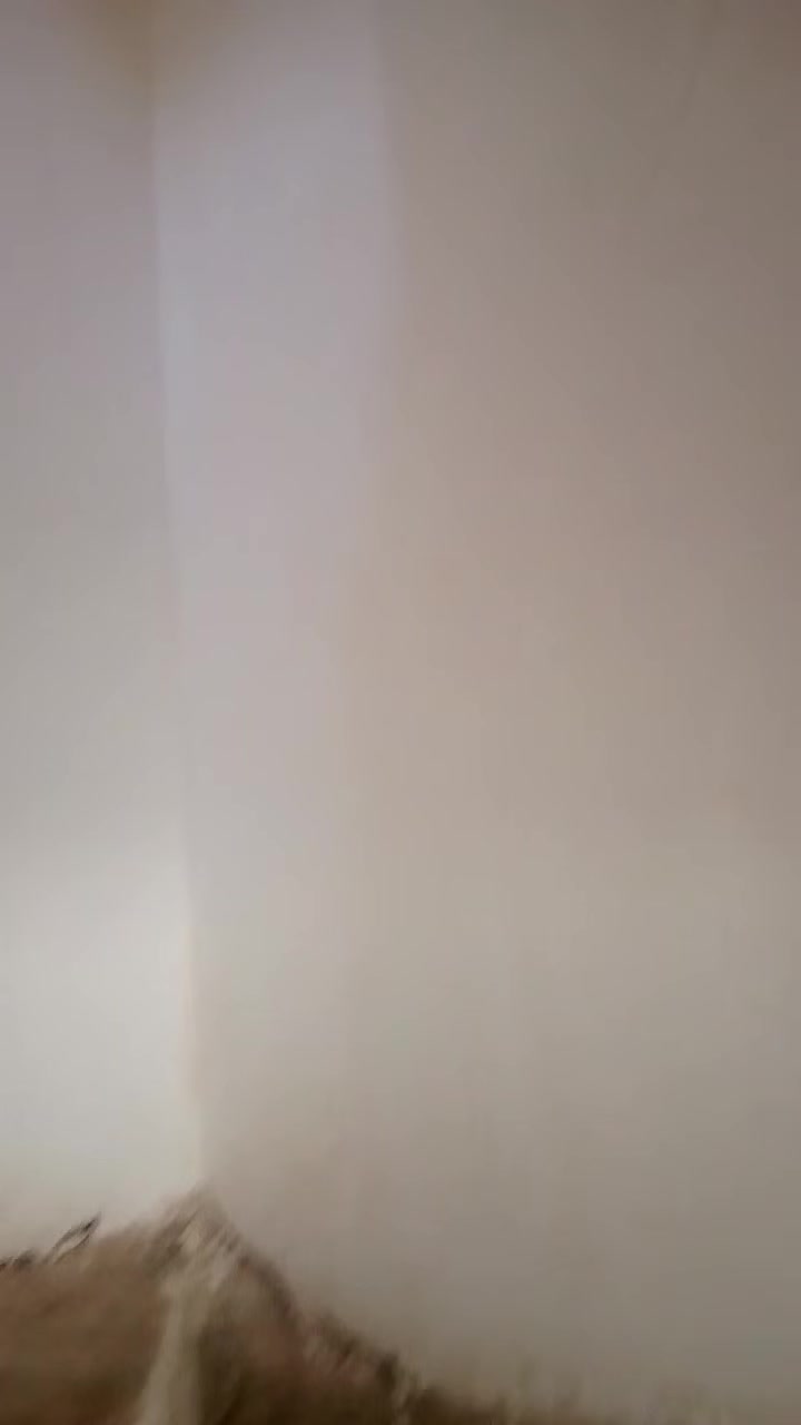 جص وبورك شغل درجة اولى متفرغ حالين ***********

