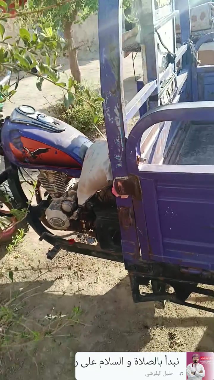 ستوته جمره فحل مكفوله كفاله لاصبغ ولا لحيم ولا خياس شرط نقصه بس دعاميه محرك شرط نشاط فول واتساب راسلني وتدلل***********
