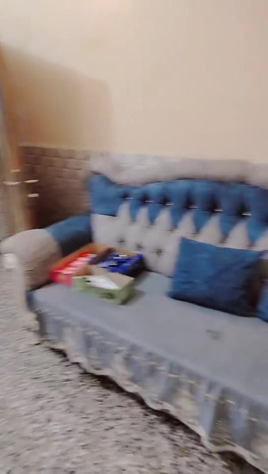 تخم للبيع كربله سيد جودة ***********
