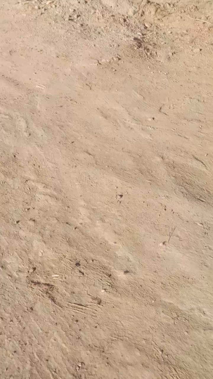الاستفسار مراسلة الصفحة او الاتصال ع هاتف ***********

ملاحضه يرهم مراوس بيت
