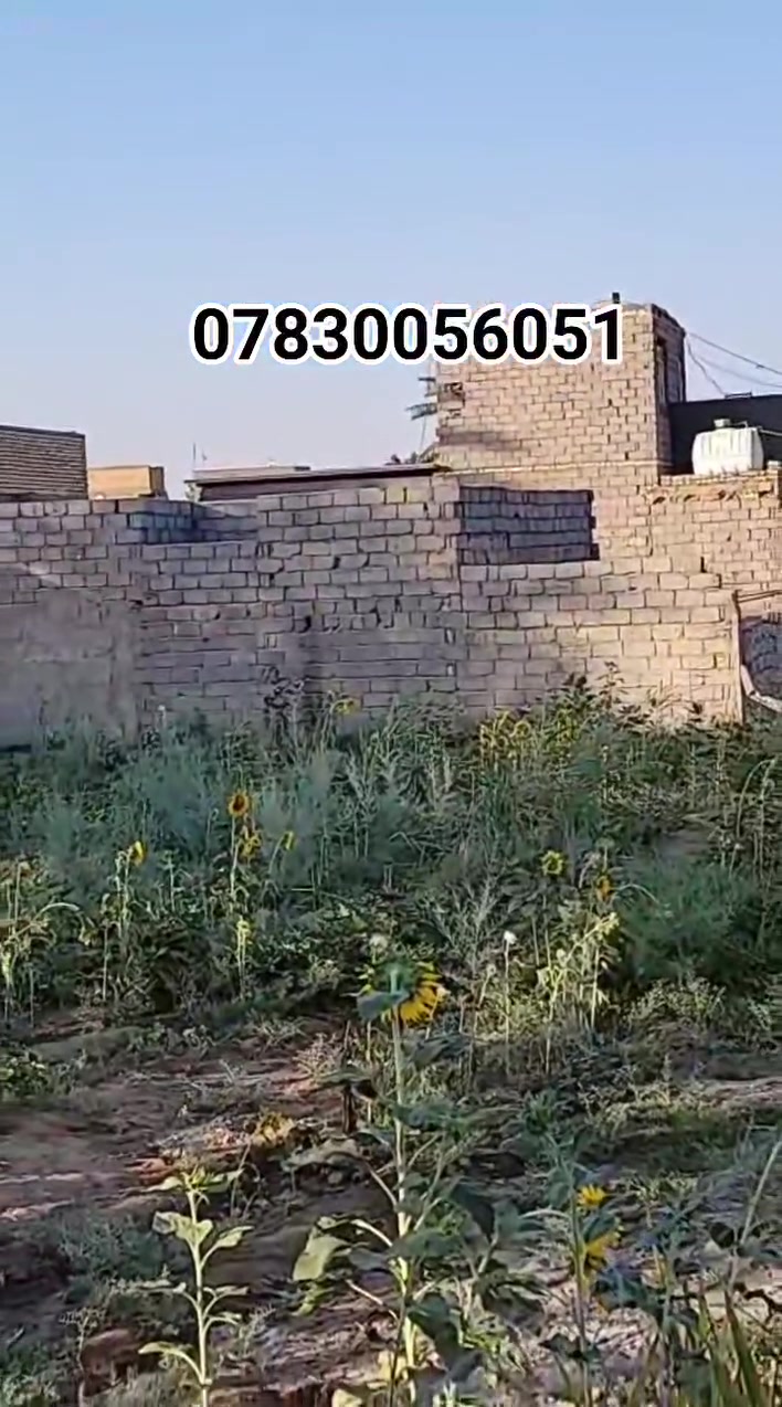 السلام عليكم ارض للبيع المساحه 1000متر طابو زراعي سند25  وبيها هيكل غير مسقف بلوك مساحته 100 متر تحويل اسهم او اقرار محكمه العنوان كربلاء طويريج الحولي مقابيل شارع نظوري السعر اتصال 
*********** @أبرز المعجبين #للجميع
*********** غيث الجنابي عقارات كربلاء
