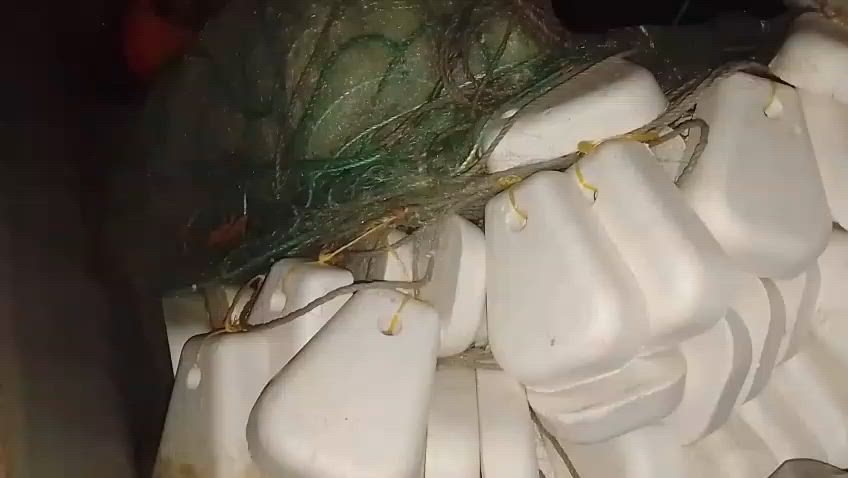 من رخصه الادمن 
سلام عليكم غزل 13ونص تايلندي 🦚طاووس 5بالات 110كامات خيط 16 نضافه 95٪ نازل جم مره ابيع دون كرب سعر 175الف وبيه مجال حق الجيه مكان بصره


**إذا كنت صاحب هذا الإعلان وتريد حذفه لأي سبب، رجاءا أرسل رسالة إلى الدعم الفني**