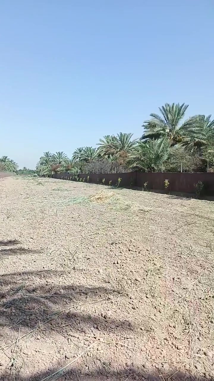 سلام عليكم دونمين سند ٢٥ حق التصرف
خدمات كامله
العنوان المدائن شارع سيد علي
الاستفسار اتصال برقم ***********
