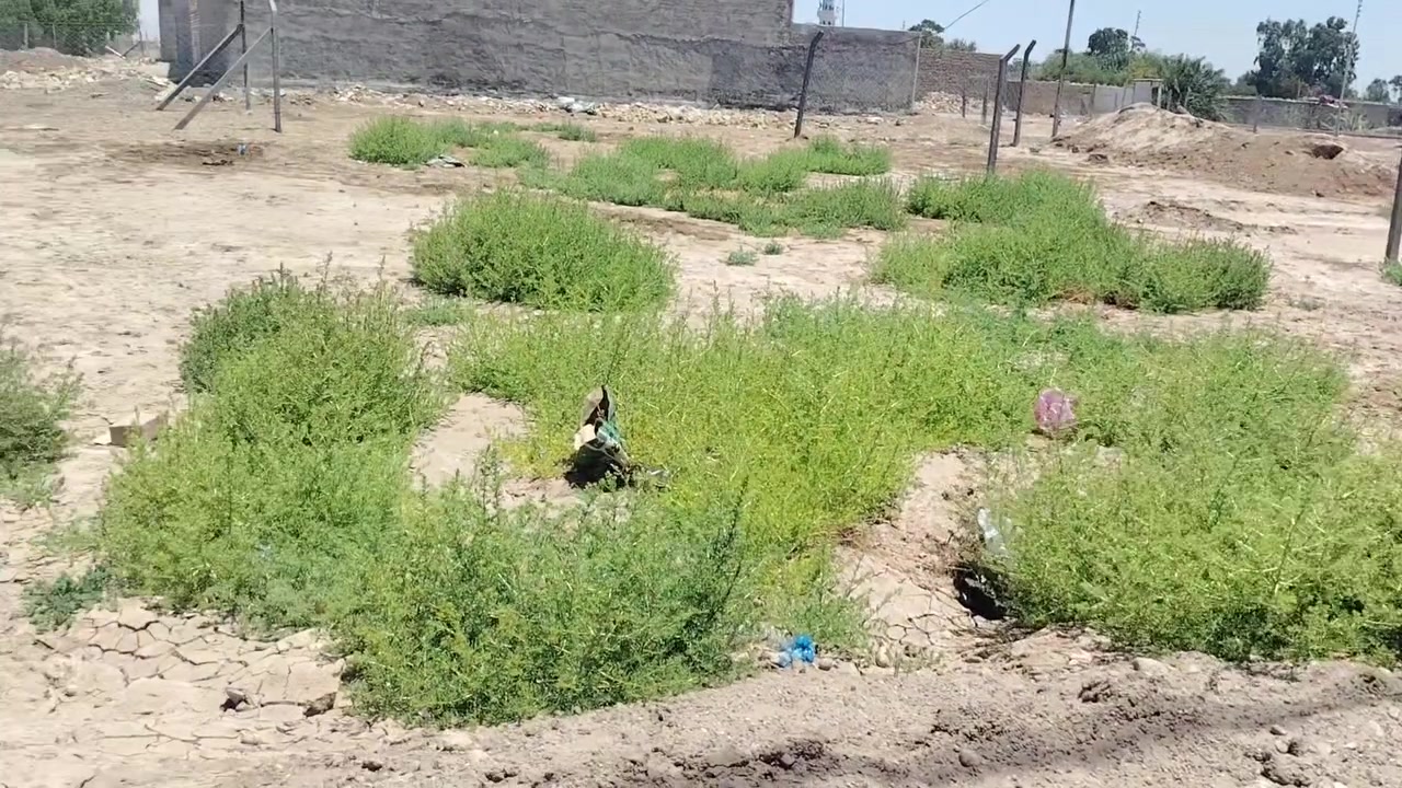 السلام عليكم ورحمة للبيع منطقة بوب الشام قرب حي الداخلية وقرب الكاروليه ***********
السعر خاص
