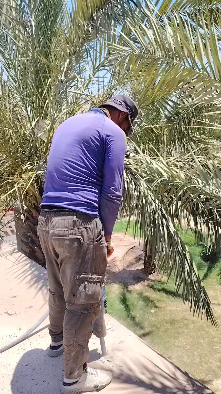 للتفليش الدور والمباني القديمه ورفع الانقاض ***********

