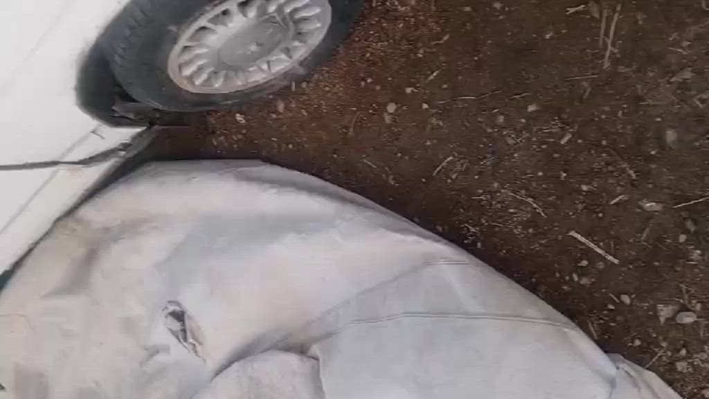 سلام عليكم بطه للبيع موديل 1992 رقم بغداد مكلوبه تحويل ثاني يوم السعر 25ورقه الاستفسار *********** ///***********
