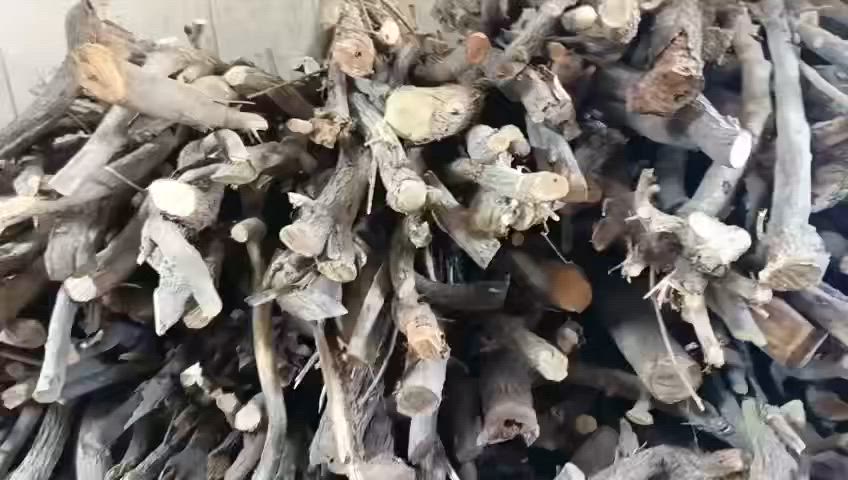 زبائنا الكرام للتوضيح وتنويه حطبنا كلة فواكه حمضيات👍👍
سمك مسكوف ع تمن وسلطة وعنبة 
للحجز***********@إشارة
