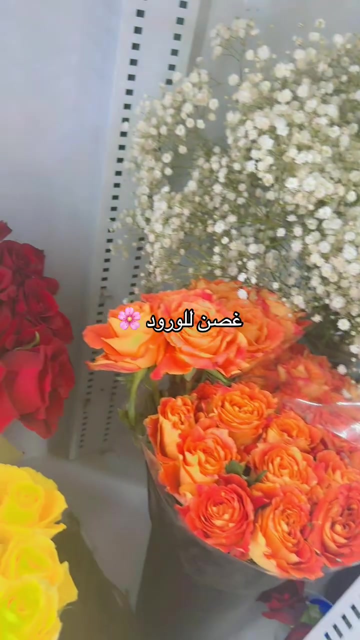 غصن للورود 🌸 الطبيعي و الصناعي
العنوان المحمودية مقابل مصرف بغداد الاهلي مجاور مكتبة الطلبة 
***********

