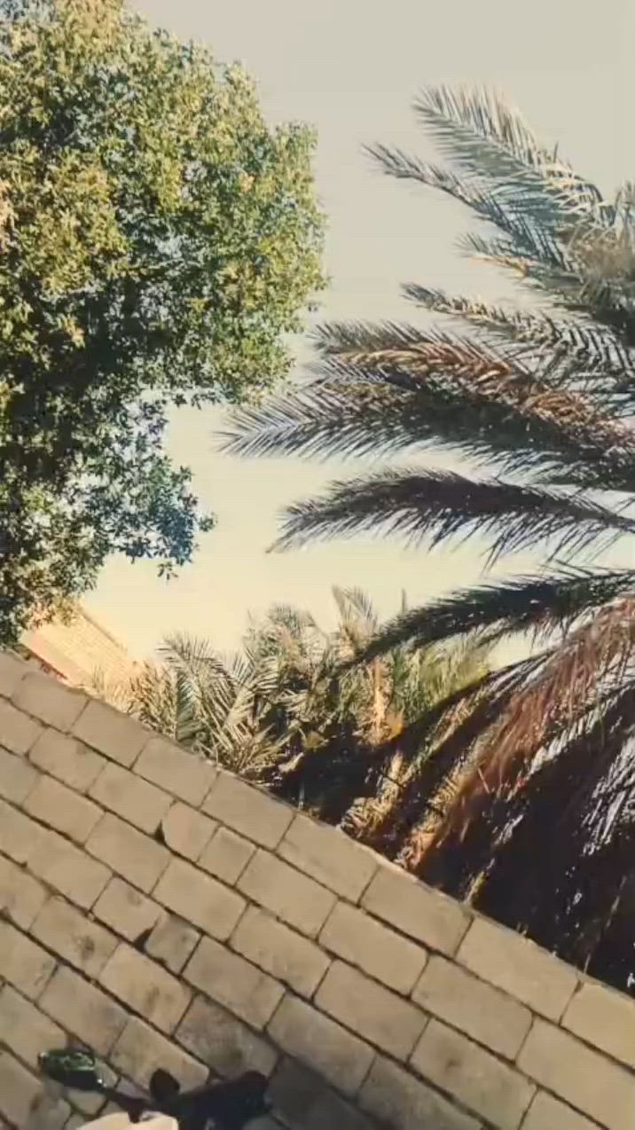 سلام عليكم  تي ماكس مديل 7 لبيع مكان سماوه. سعره وتفاصيله خاص او تصل عل رقم 0787087202.


**إذا كنت صاحب هذا الإعلان وتريد حذفه لأي سبب، رجاءا أرسل رسالة إلى الدعم الفني**